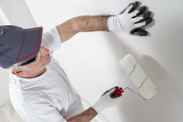 Best Basement Mold Removal  in Mount Vernon, NY