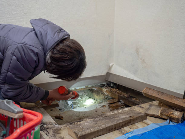 Dehumidification Services in Mount Vernon, NY