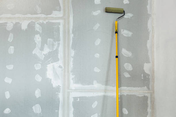 Best Mold Damage Restoration  in Mount Vernon, NY
