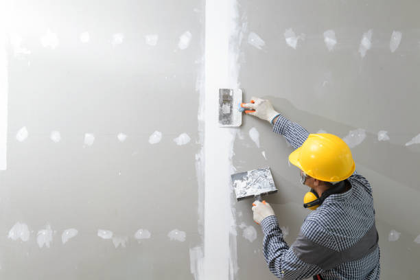 Best Mold Remediation for Healthcare Facilities  in Mount Vernon, NY