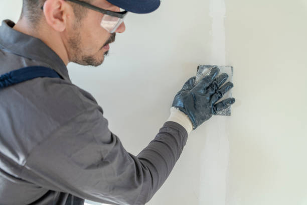 Best Comprehensive Air Testing for Mold Contaminants  in Mount Vernon, NY