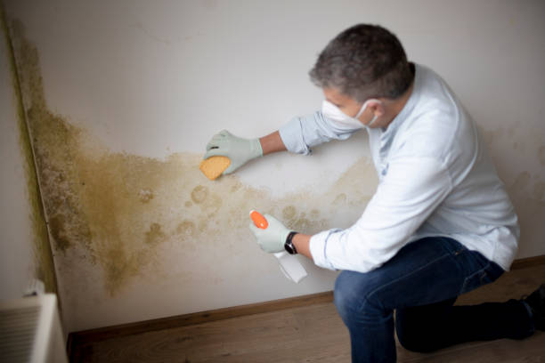 Best Post-Remediation Verification Testing  in Mount Vernon, NY