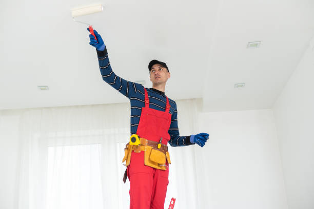 Best Black Mold Removal  in Mount Vernon, NY