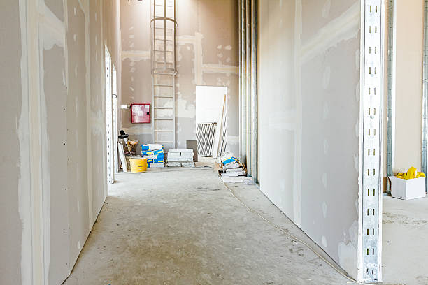 Best Mold Remediation for Rental Properties  in Mount Vernon, NY